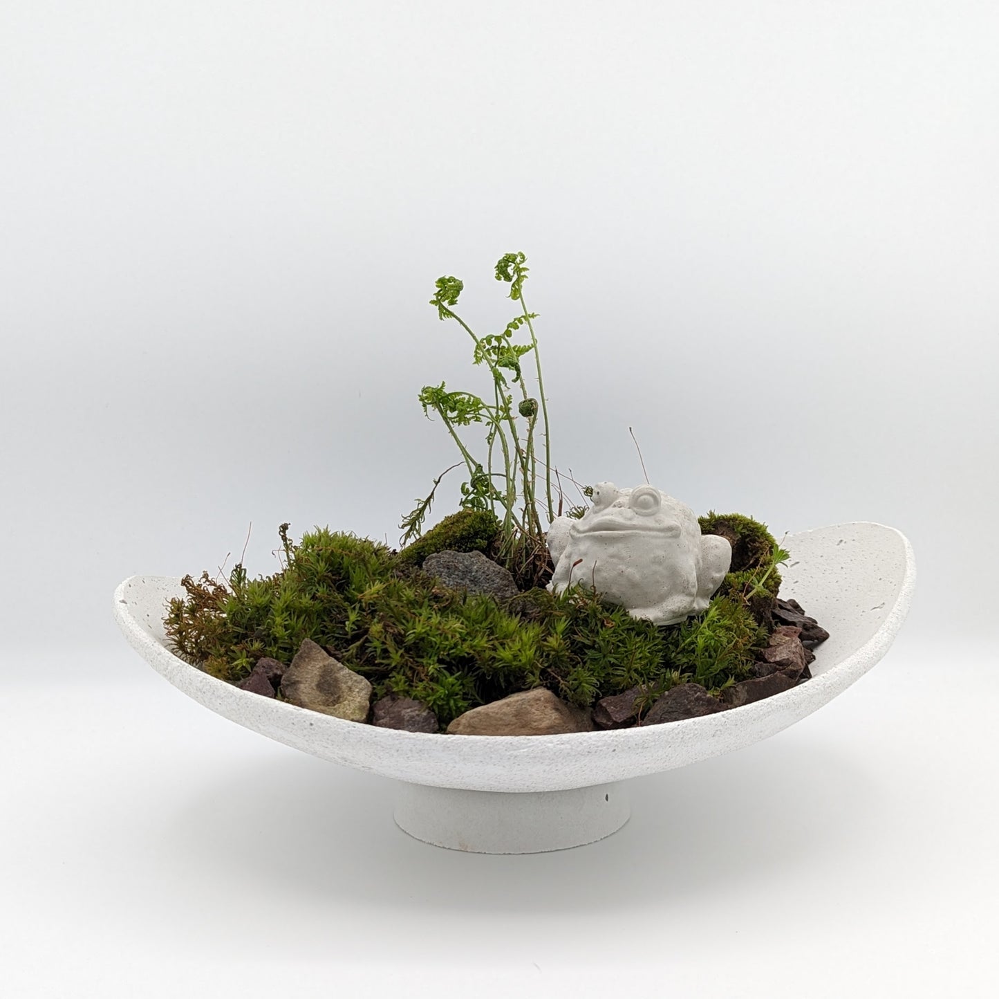 Cloud Tray