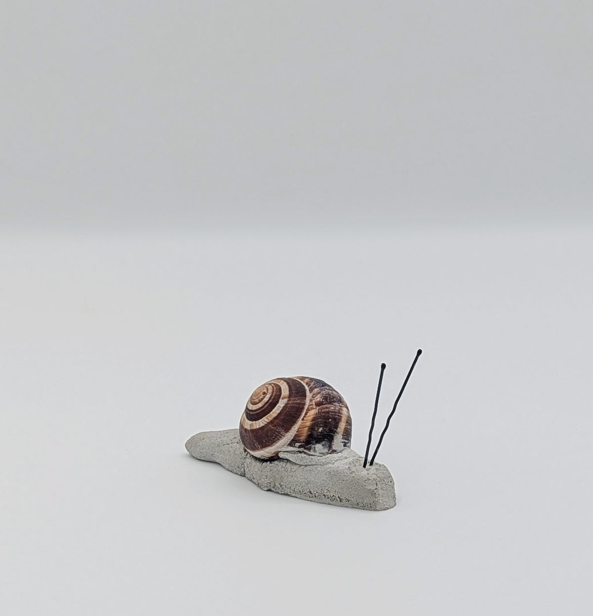 A small decorative snail figurine with a brown and cream striped shell on a gray base, featuring two black antennae, photographed against a seamless light gray background.